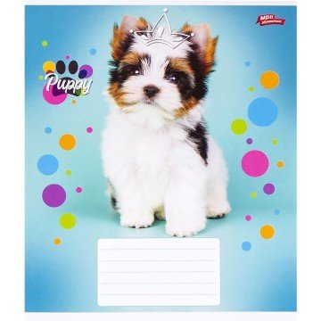 Фото1.Зошит кольоровий 12 аркушів, клітинка (20 штук в упаковці)