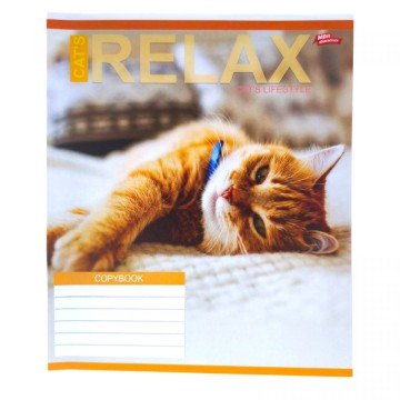 Фото1.Зошит кольоровий 24 аркушів, лінія (16 штук в упаковці)