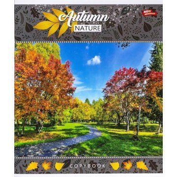 Фото1.Зошит кольоровий 24 аркушів, клітинка (16 штук в упаковці)