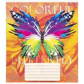 Фото1.Зошит кольоровий 24 аркушів, клітинка (16 штук в упаковці)