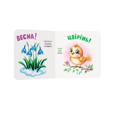 Фото1.Книга 