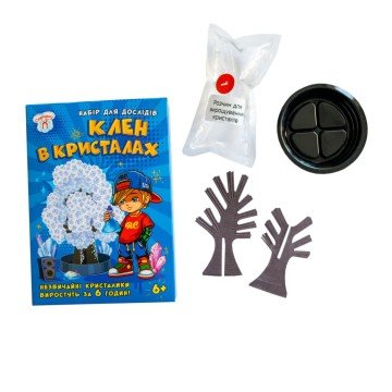 Фото1.Набір для експериментів. Клен в кристалах (білий)