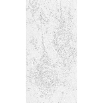 Фото1.Картина за номерами 