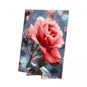 Фото1.Набір для розпису по номерах 30х40 см 