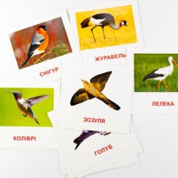 Фото1.Картки міні Птахи (110х110 мм) (укр)