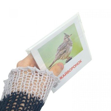 Фото1.Картки міні Кольори BLUE (110х110 мм)