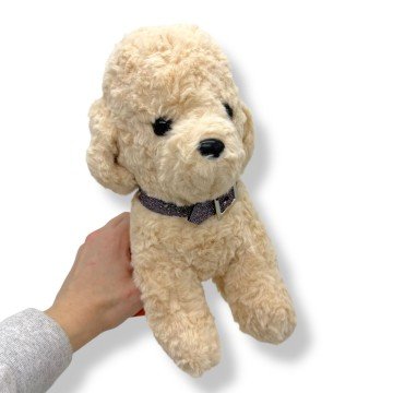 Фото1.Мальтіпу сидячий