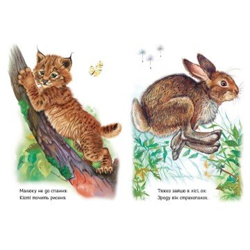 Фото1.Малятам про звіряток, збірник : Лісові звірята (у)