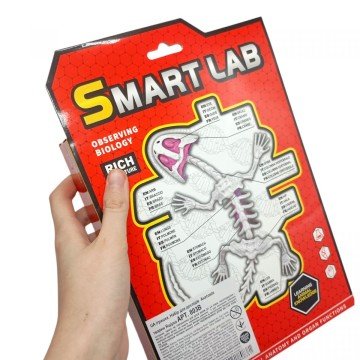 Фото1.Набір для дослідів  Анатомія тварин, Кажан