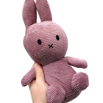 Фото1.МʼЯКА ІГРАШКА 