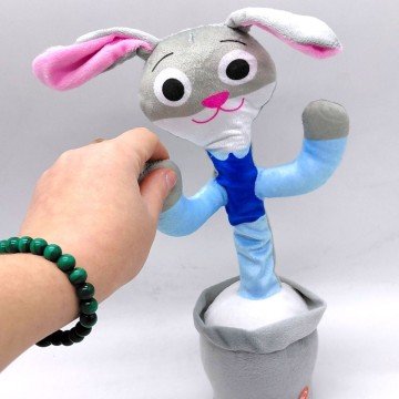 Фото1.Кактус, що розмовляє 