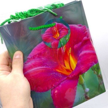 Фото1.Пакет паперовий 5 шт в пакуванні 18х23х10 см