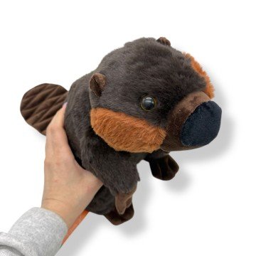 Фото1.Бобер Flaffy