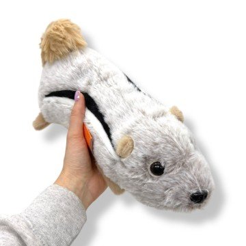 Фото1.Білка Лілу