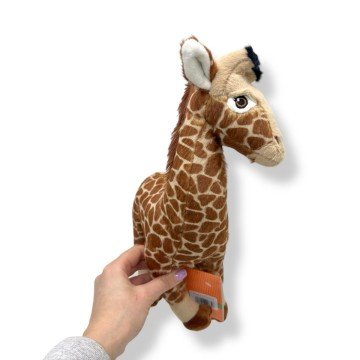 Фото1.Жираф Эли 1/2