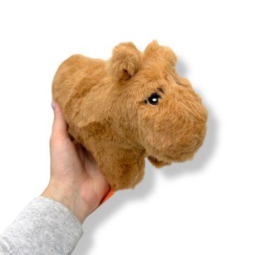 Фото1.Капібара к