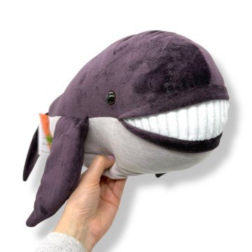 Фото1.Кит Зоо