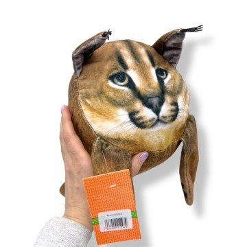 Фото1.Котя 2