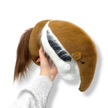 Фото1.Мурахоїд Лілу