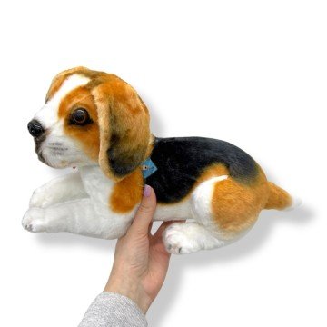 Фото2.Пес Оскар 2 м