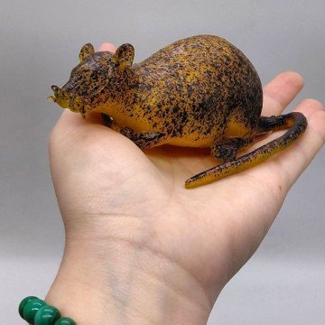 Фото4.Іграшка антистрес 