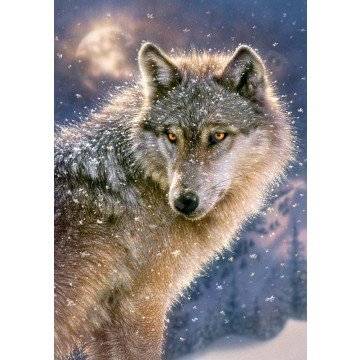 Фото1.Пазли 