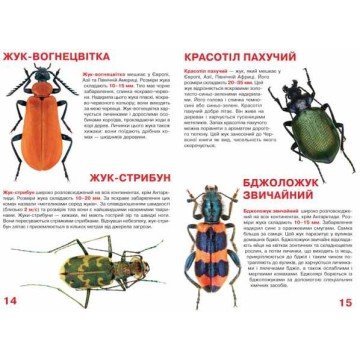 Фото3.Книга 