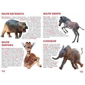 Фото3.Книга 