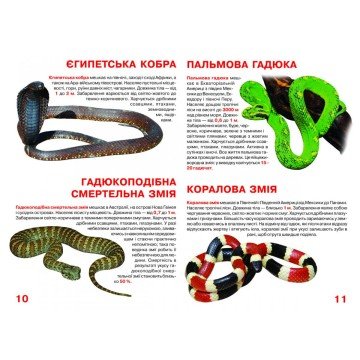 Фото2.Книга 