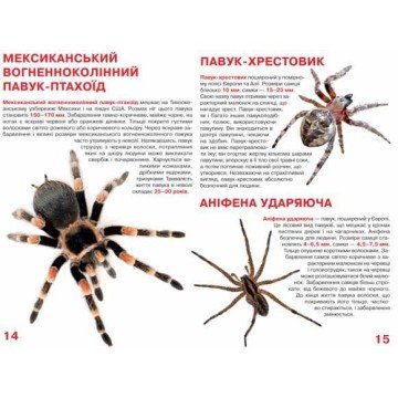 Фото2.Книга 