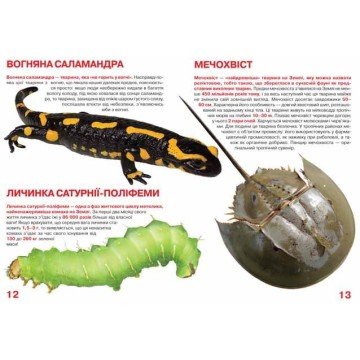 Фото3.Книга 