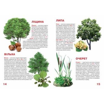 Фото2.Книга 