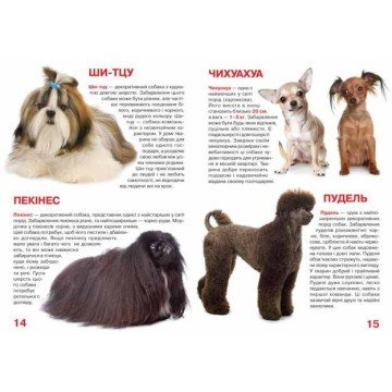 Фото2.Книга 