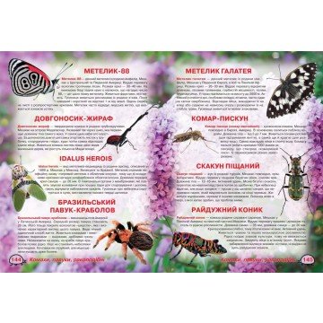 Фото3.Книга 