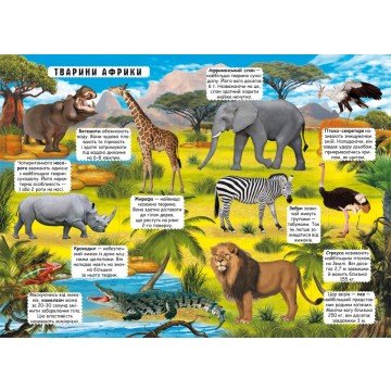 Фото2.Книжка з віконцями 