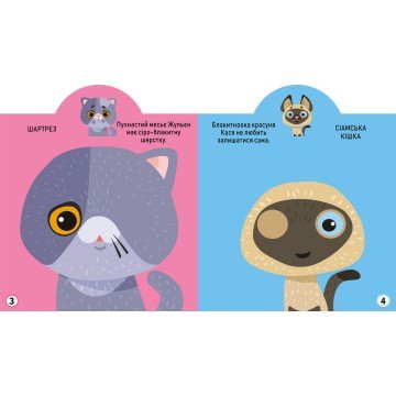 Фото2.Книга 