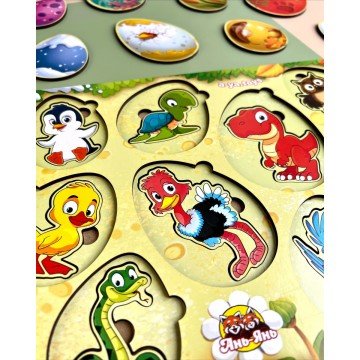 Фото3.Сортер-вкладиш 