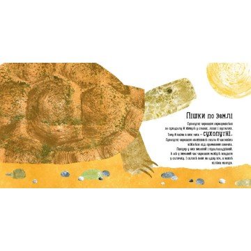 Фото3.Наталія Чуб 