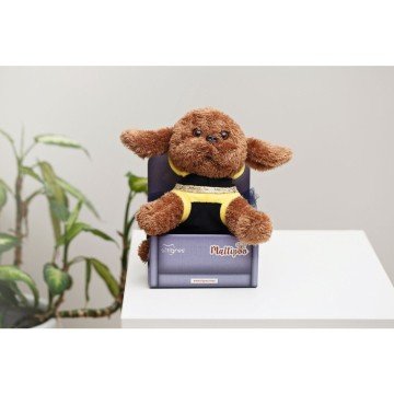 Фото3.Цуценя в костюмі 