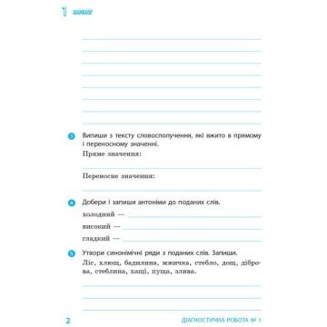 Фото2.Діагностичні роботи 