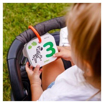 Фото3.Картки на кільці 