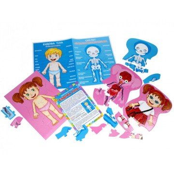 Фото2.Навчальні пазли. Будова тіла 13164012У