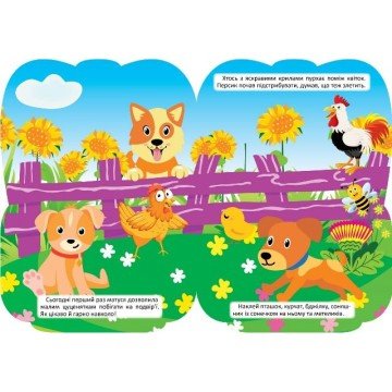 Фото3.Книжка 