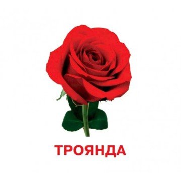 Фото3.Набір карток (міні): Квіти, 18 карток (укр)