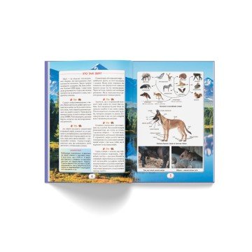 Фото3.Книга 