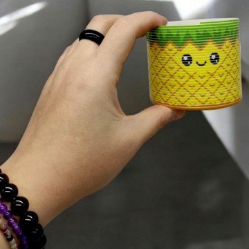 Фото2.Райдуга пружинка 