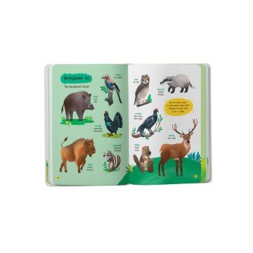 Фото2.Книга 