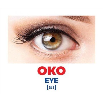 Фото2.Геній з пелюшок. Будова тіла (демонстраційний матеріал)