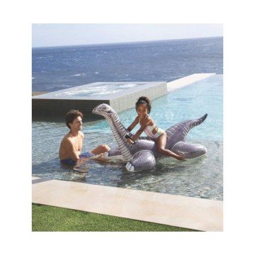 Фото2.Надувна іграшка 