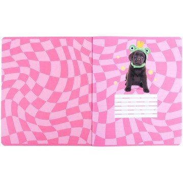 Фото2.Зошит 24 арк., лін., софт тач + УФ лак, SP